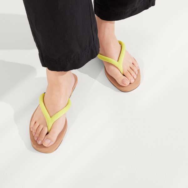 The Flip Flop - Margarita - Image 2